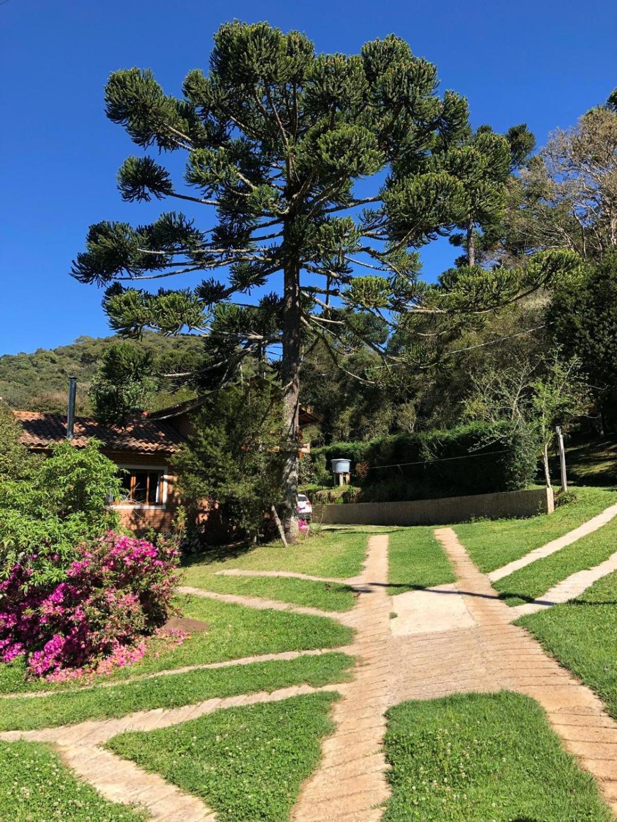 Sitio Rosa de Minas