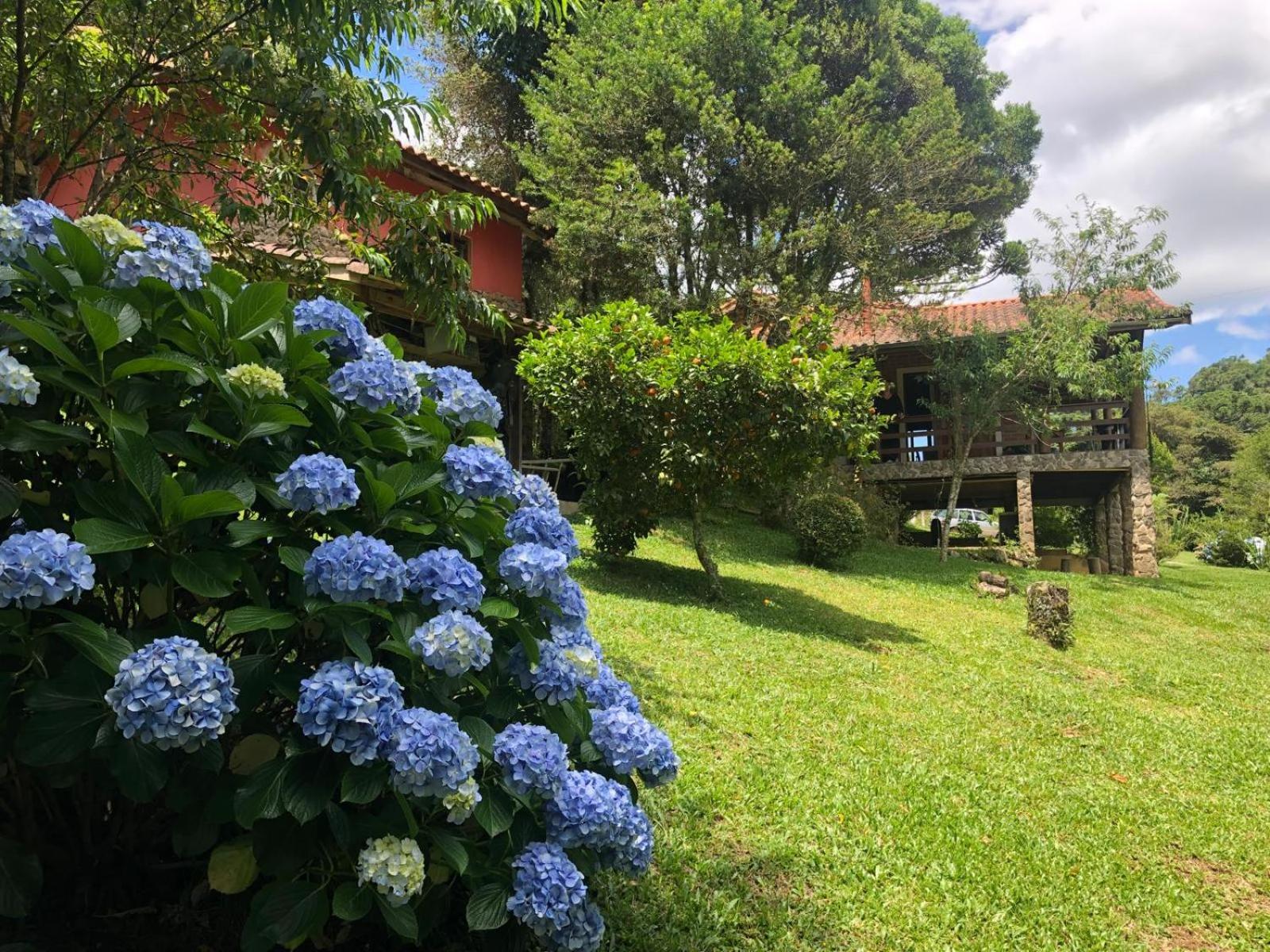 Sitio Rosa de Minas