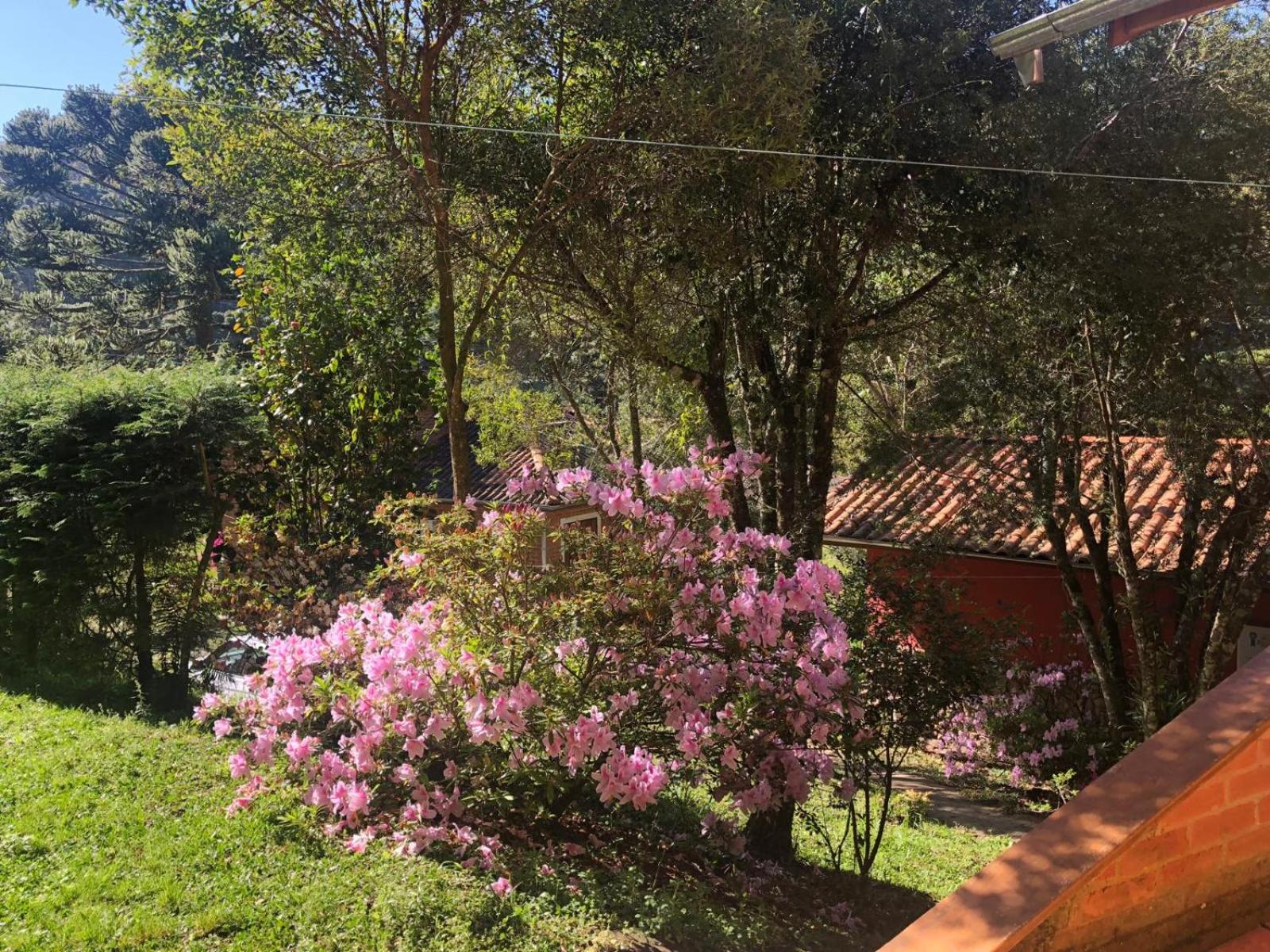 Sitio Rosa de Minas