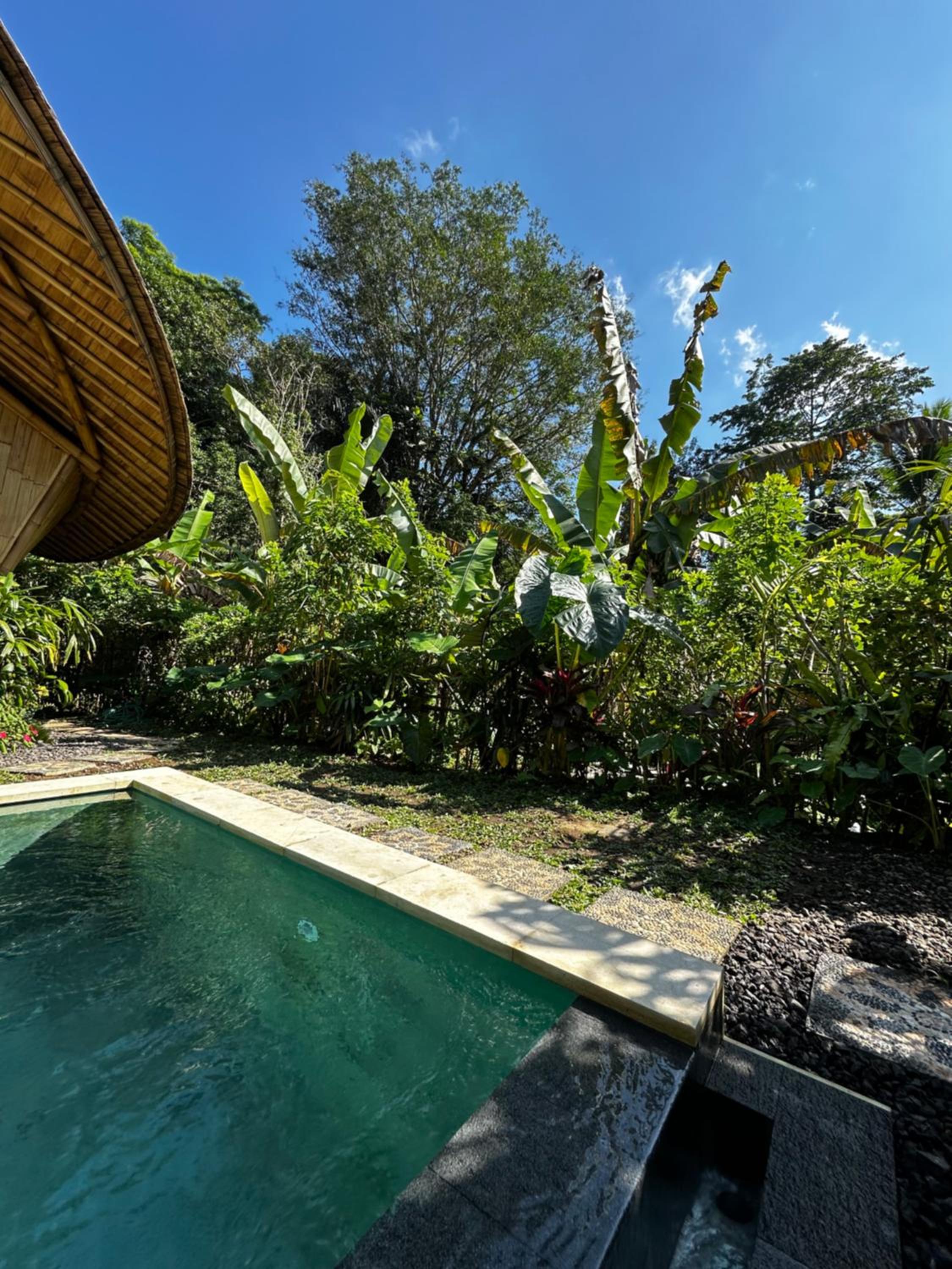 Photo 55