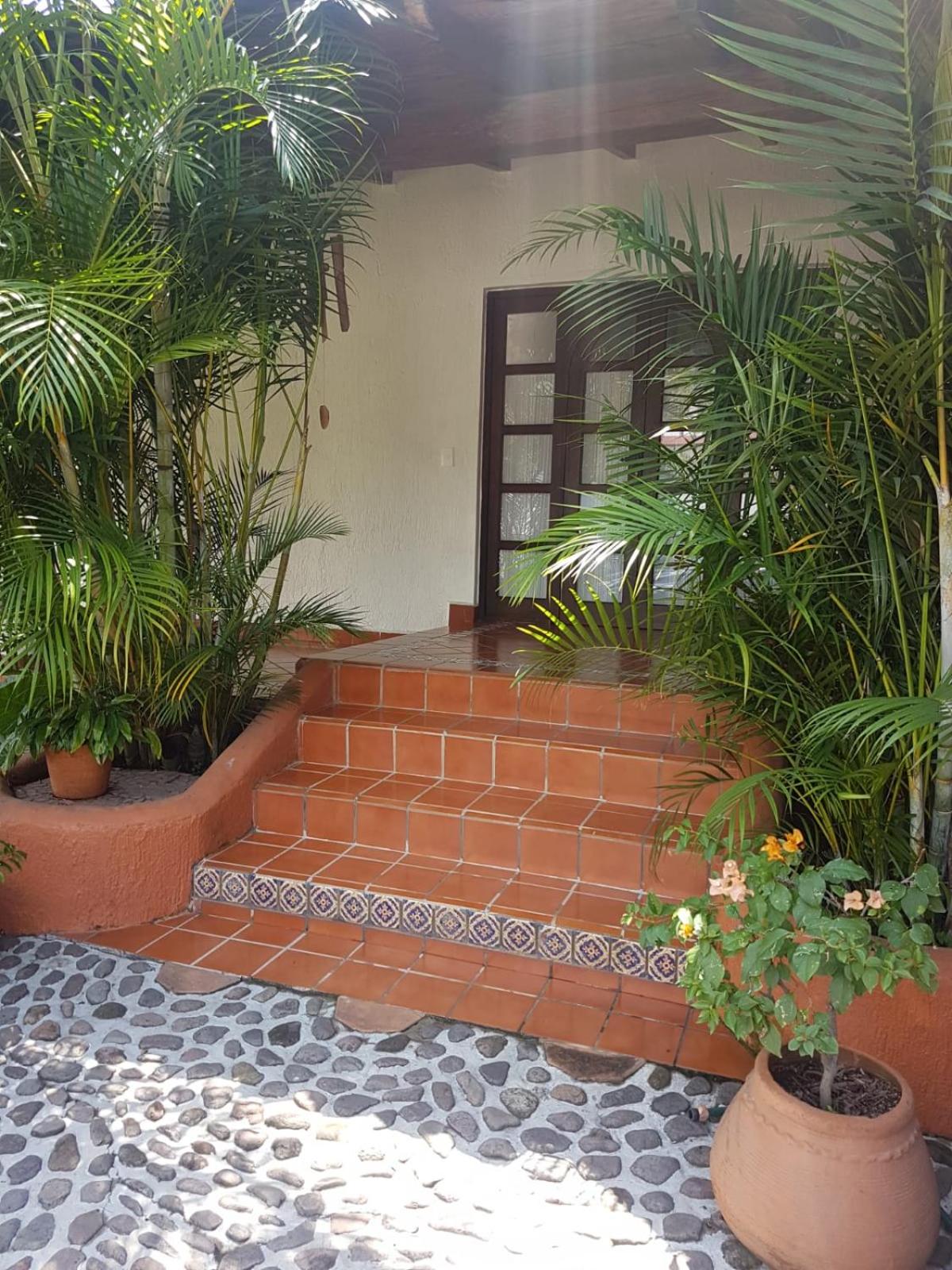Finca Las Palmas