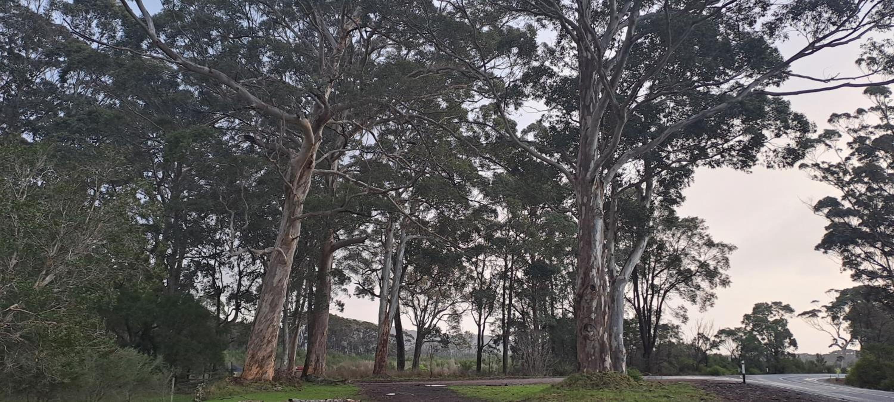 Crystal Springs Holiday Accommodation