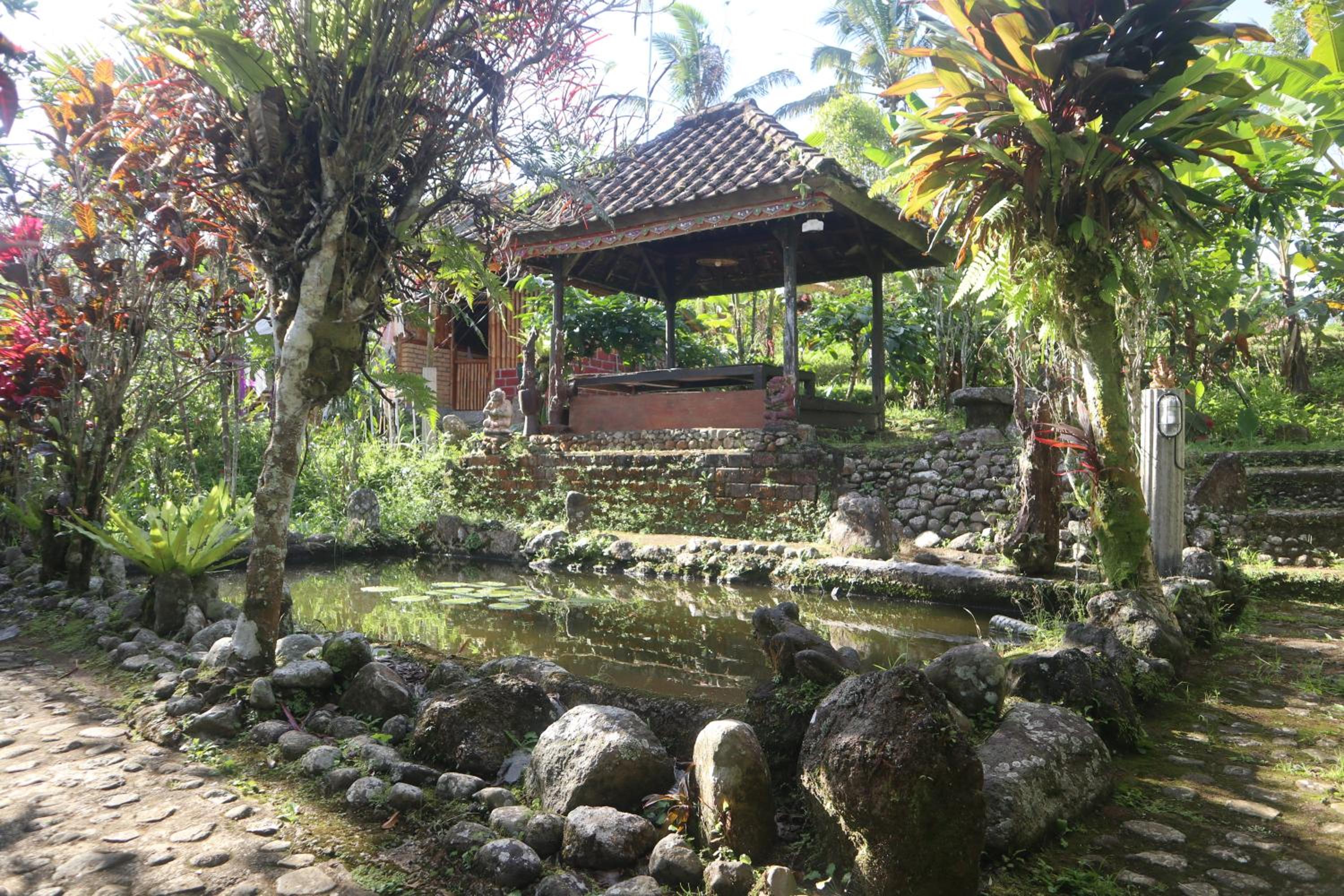 Farmstay Eco Villa view 5