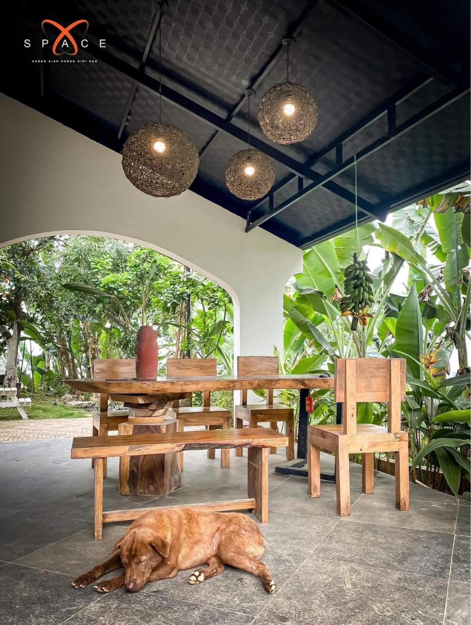 THOÁNG Villa - Venuestay