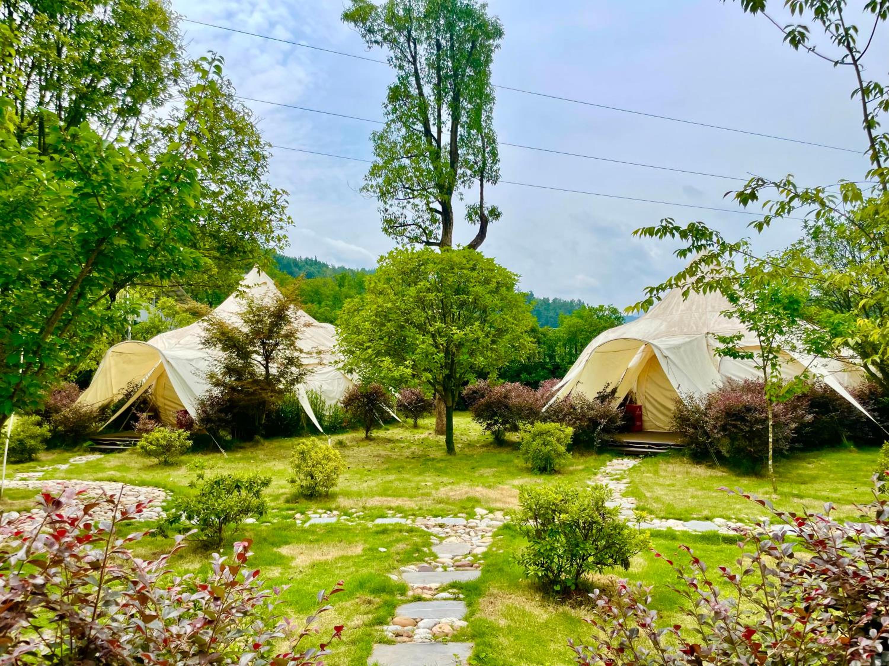 Zhangjiajie Cliff Flower RV Tent Hotel