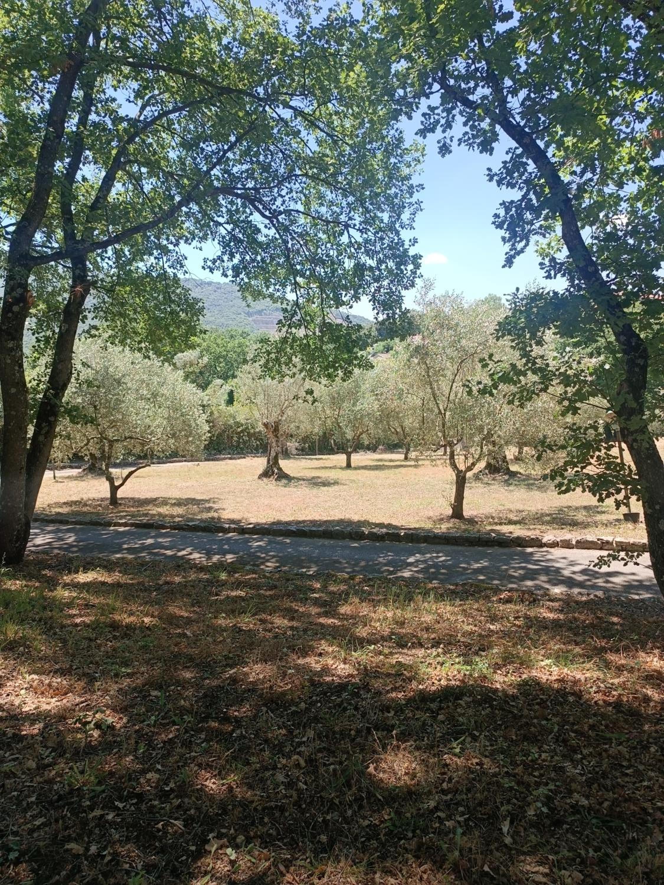 Villa Mammaré Country villa con Jacuzzi esterna view 4