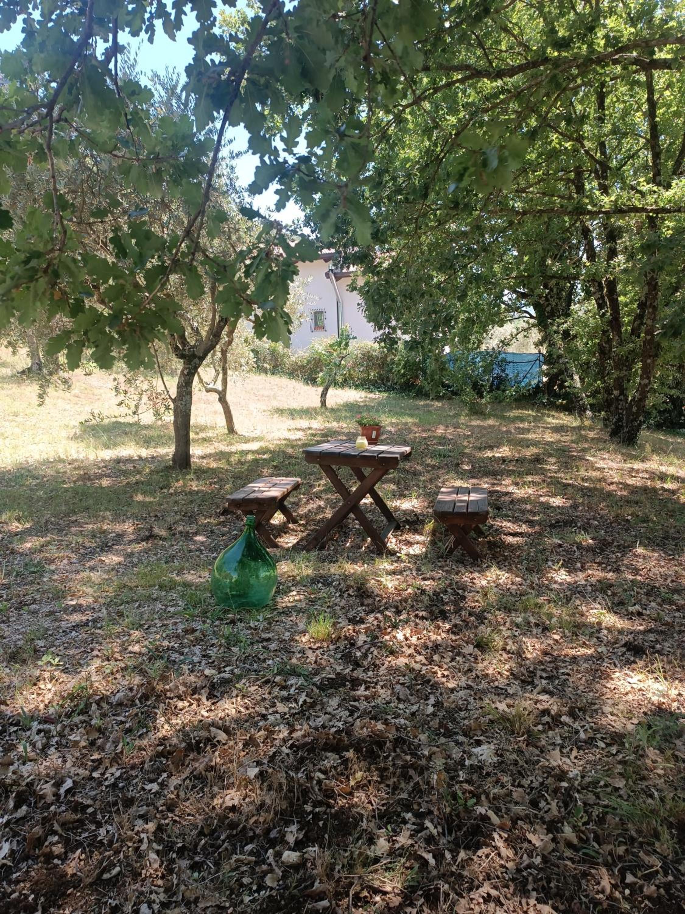 Photo 47