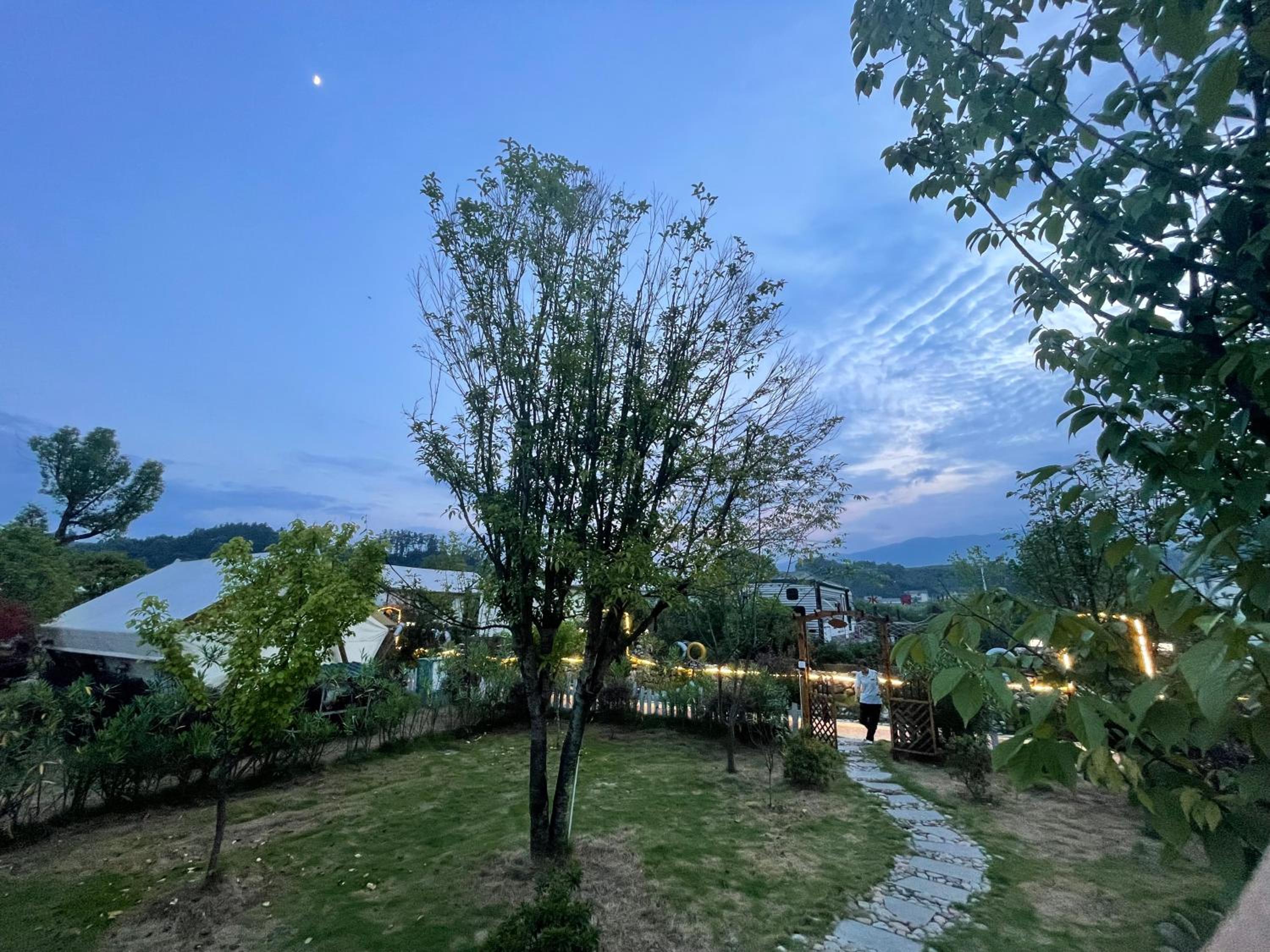 Zhangjiajie Cliff Flower RV Tent Hotel