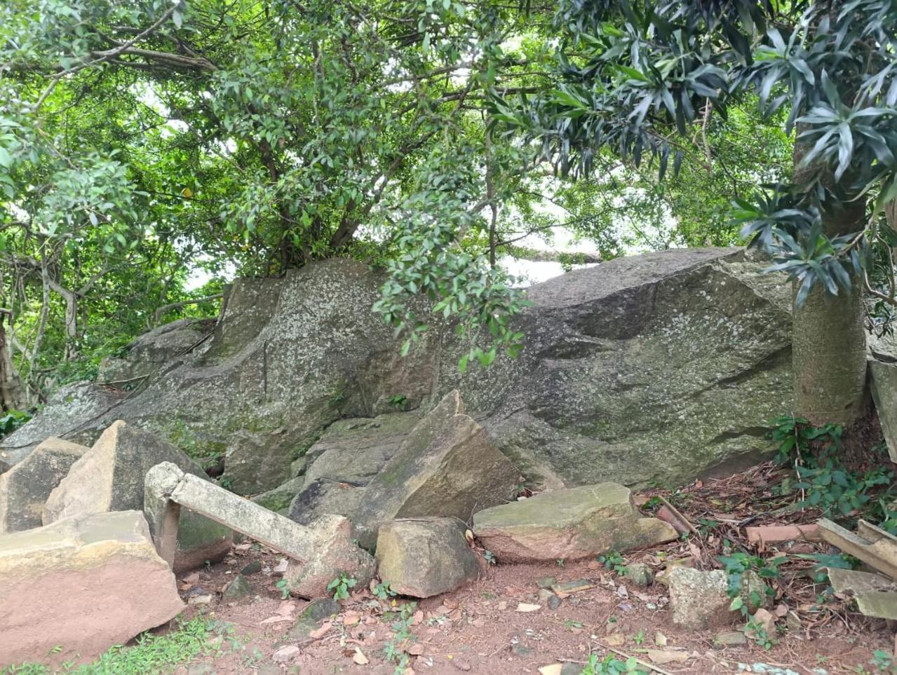 Photo 12