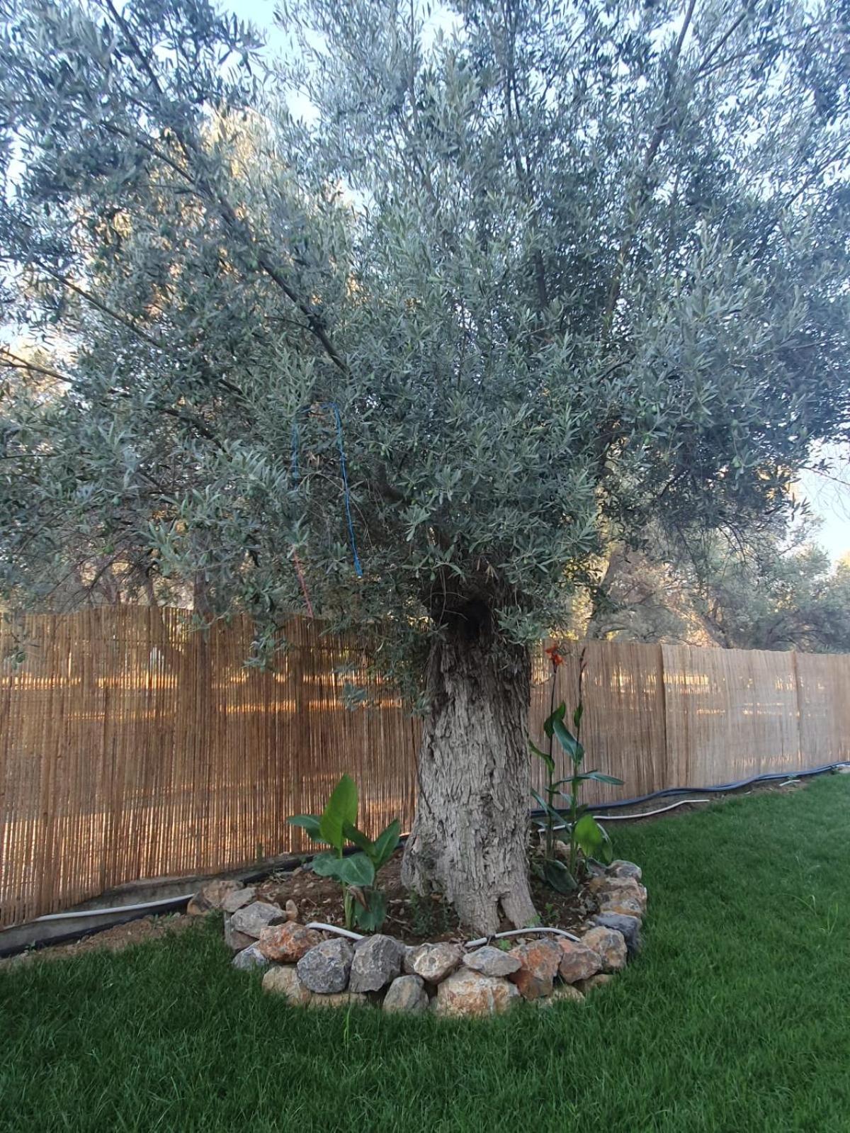 Villa Josefine - With private pool and parking