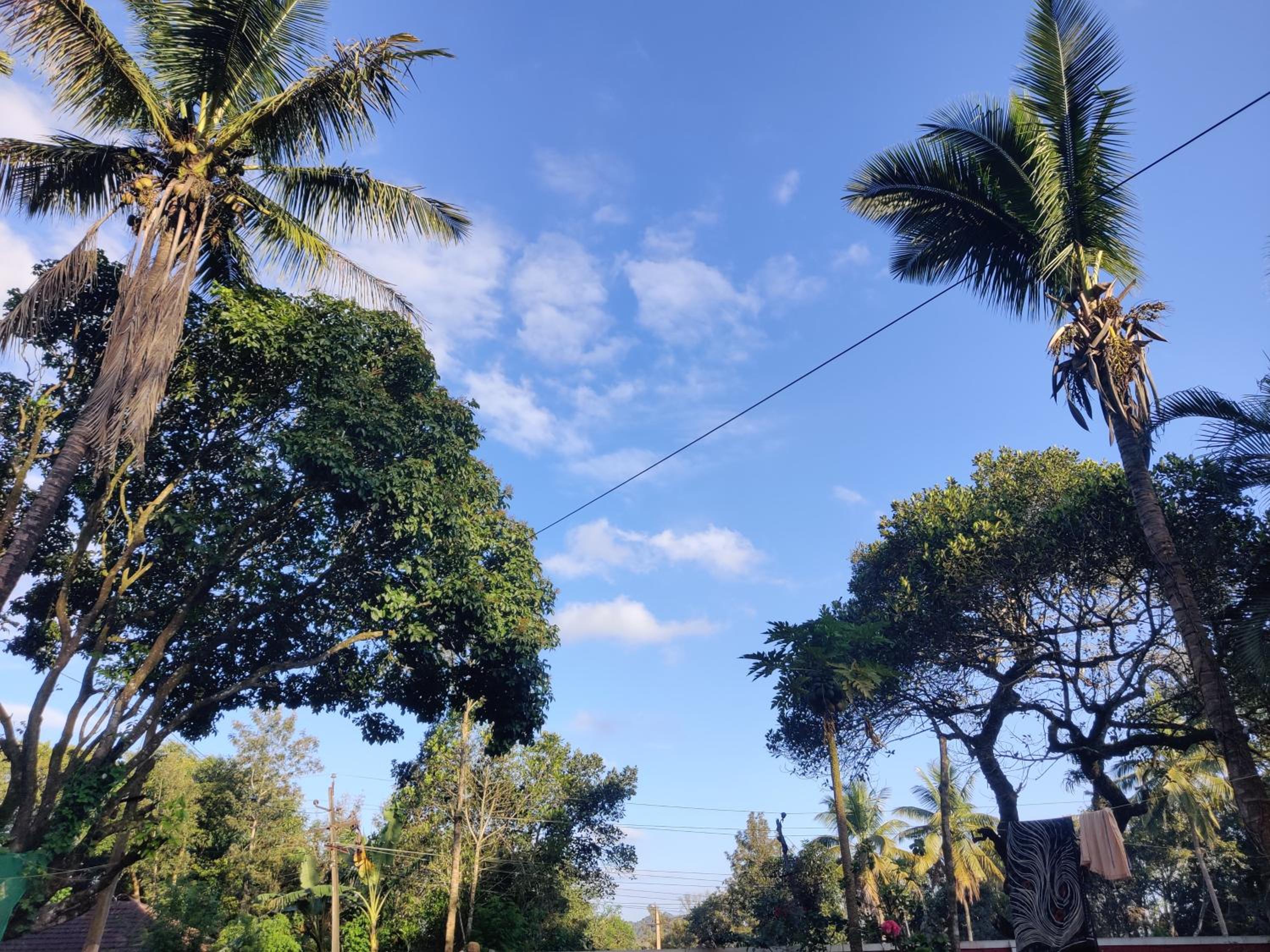 Avaredhalu Homestay