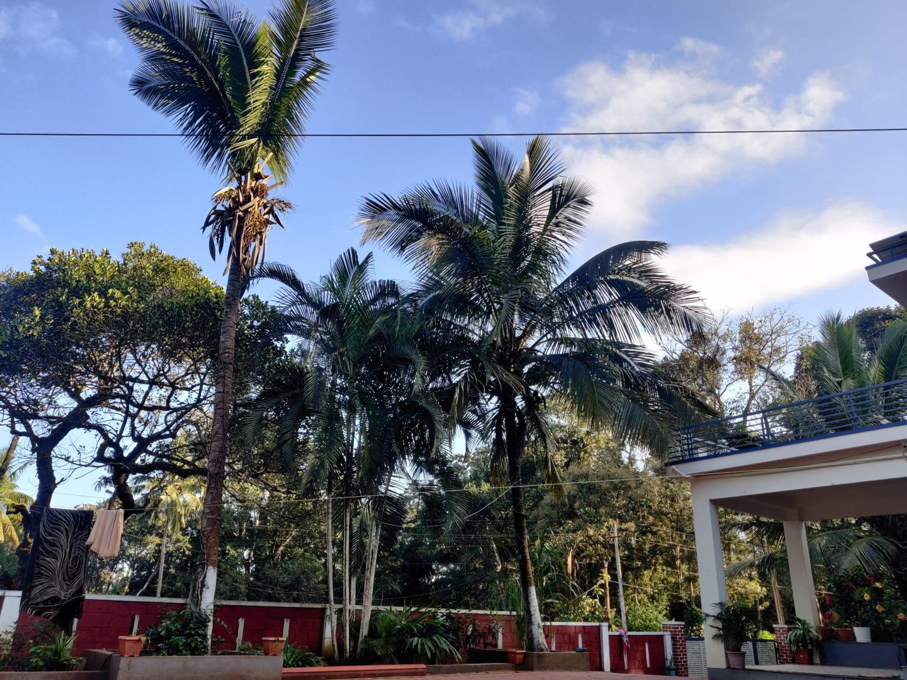 Avaredhalu Homestay