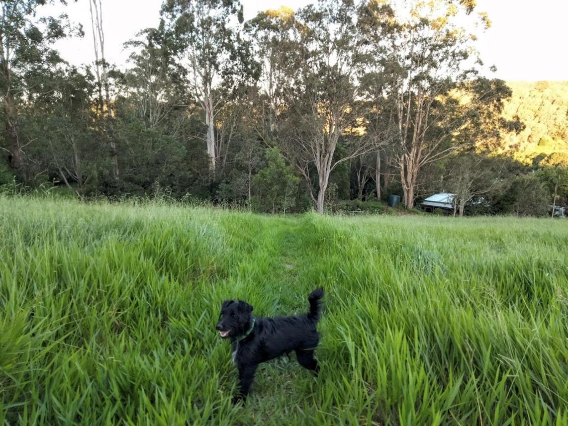 Green Hill Cottage, Heart of Noosa Hinterland