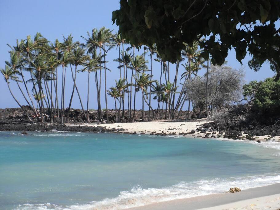 King Palm Ocean views King bed walk to beach Free WIFI parking BBQ view 5