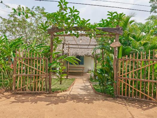 Lakeview Gardens