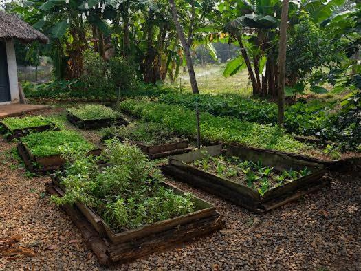Lakeview Gardens