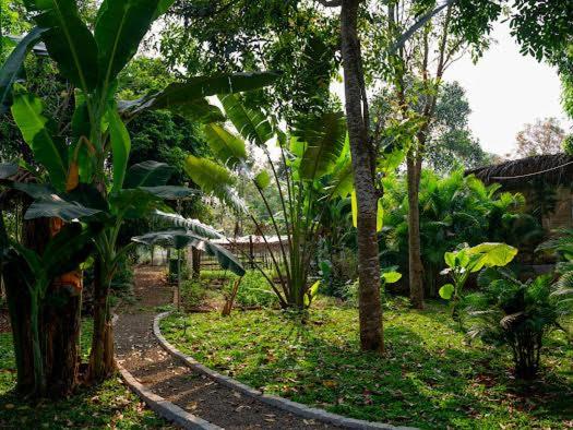 Lakeview Gardens