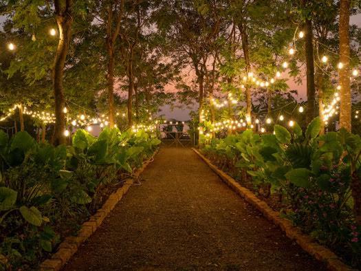 Lakeview Gardens