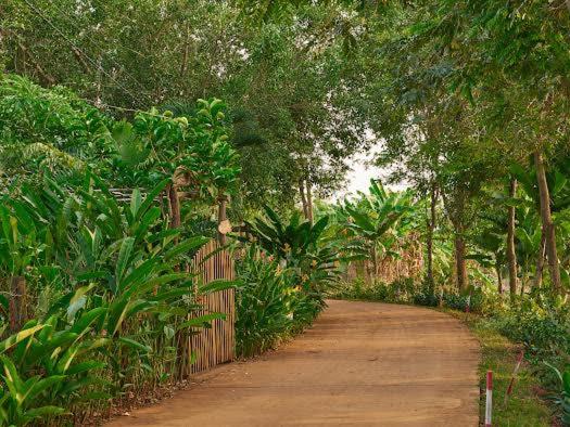 Lakeview Gardens