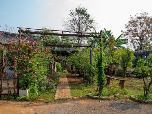 Lakeview Gardens