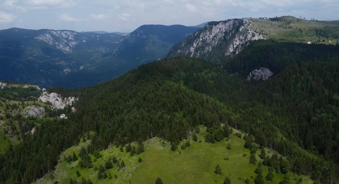 Konak Vrela Žabljak view 4
