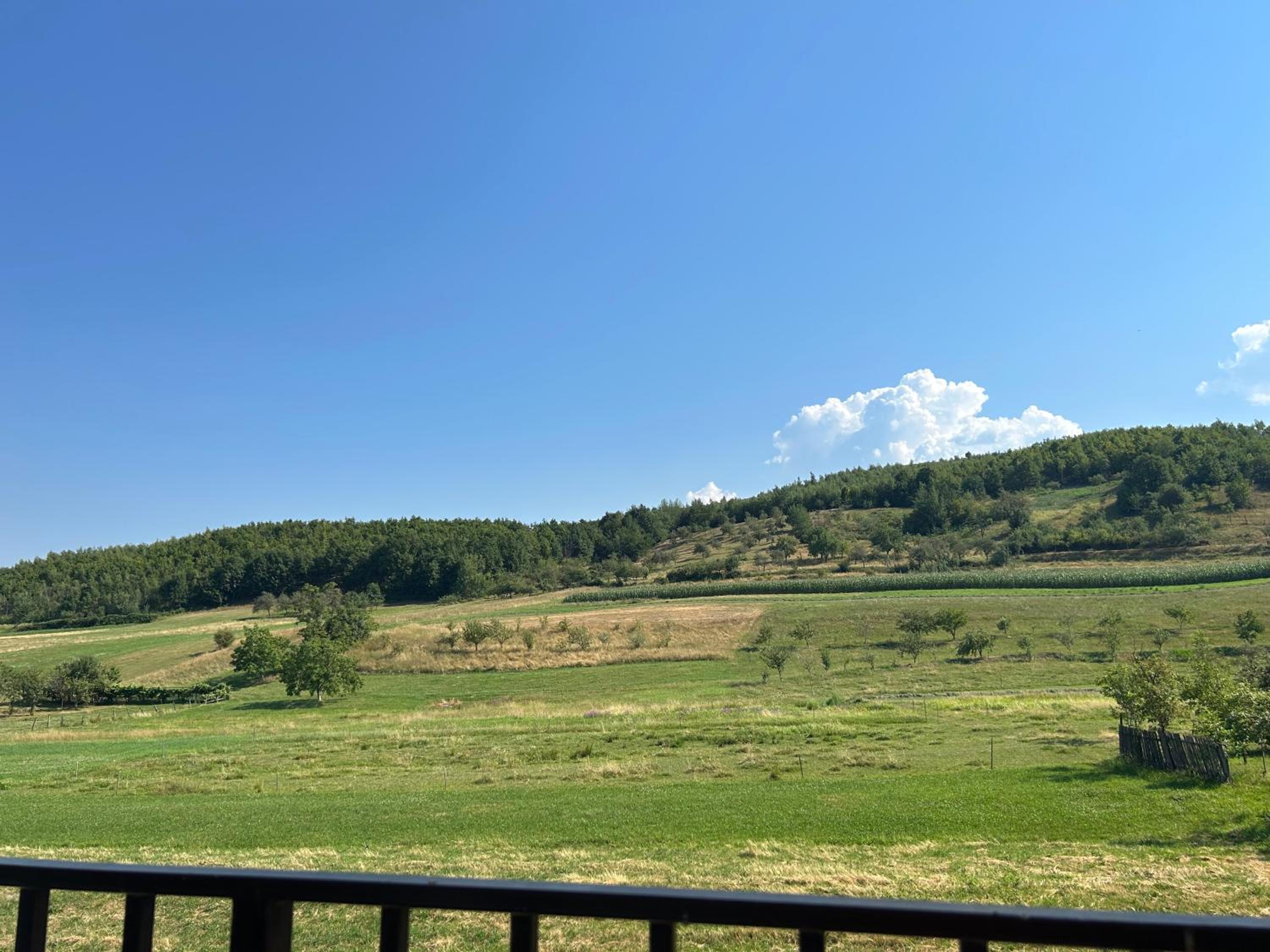 Photo 27