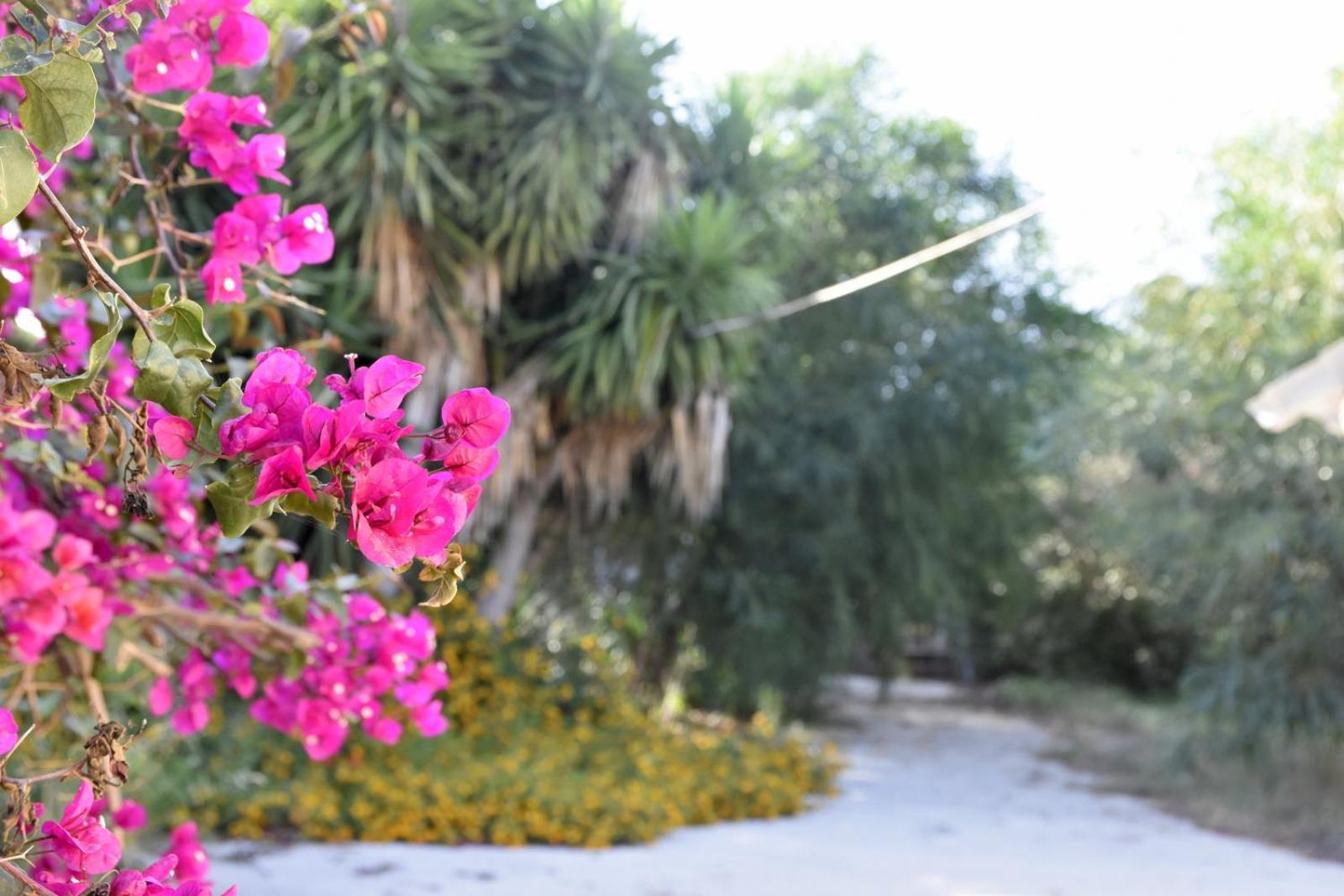 other