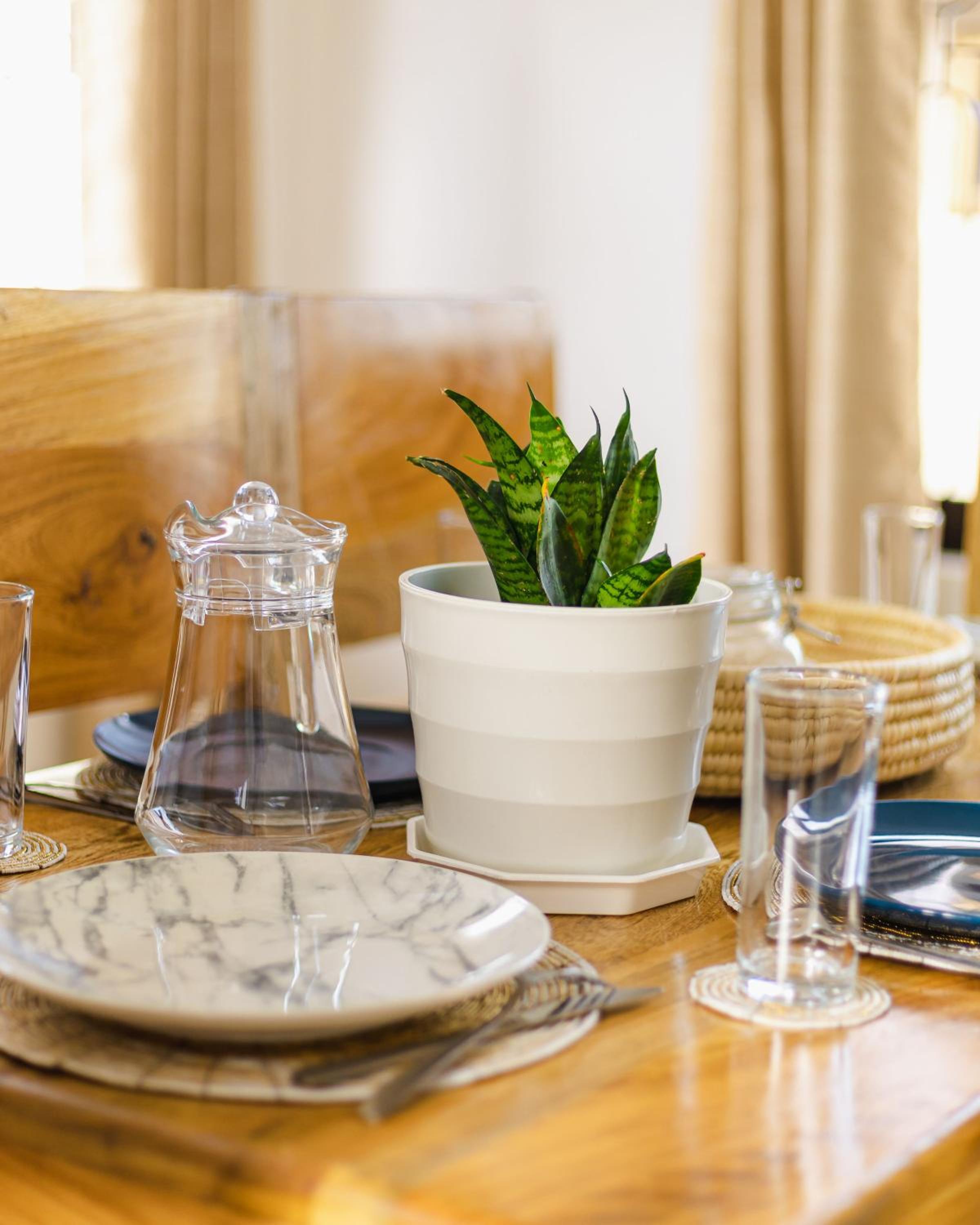 Venem homecation