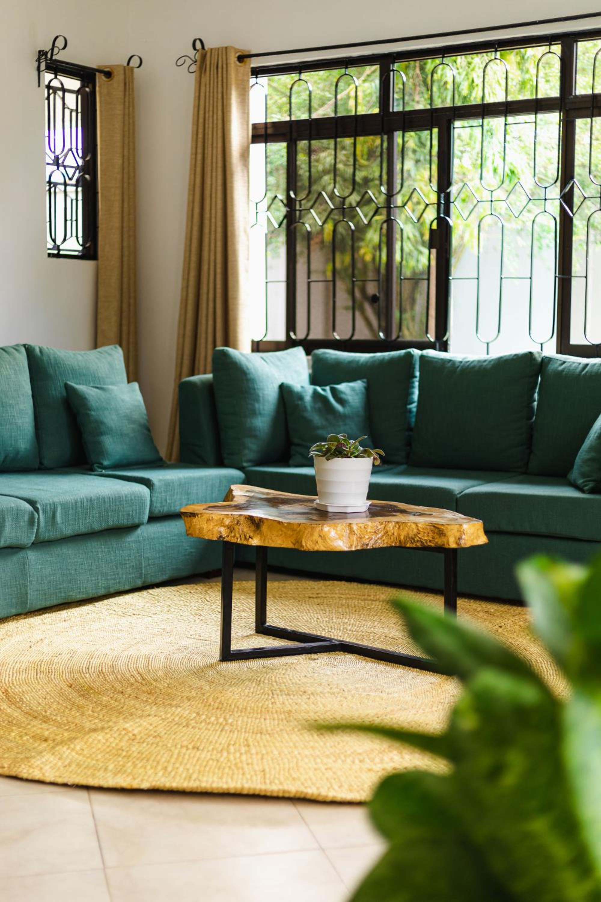 Venem homecation