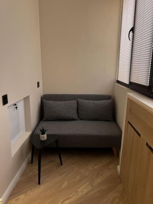 Luxurious Central Baku Apartment