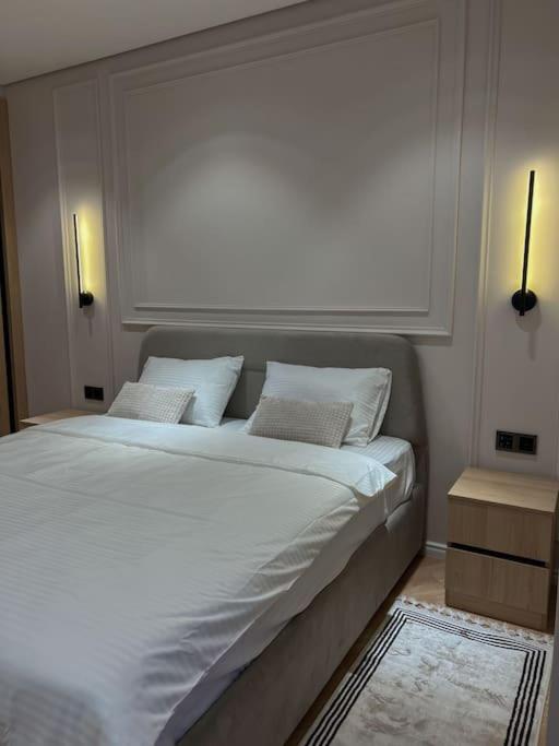 Luxurious Central Baku Apartment