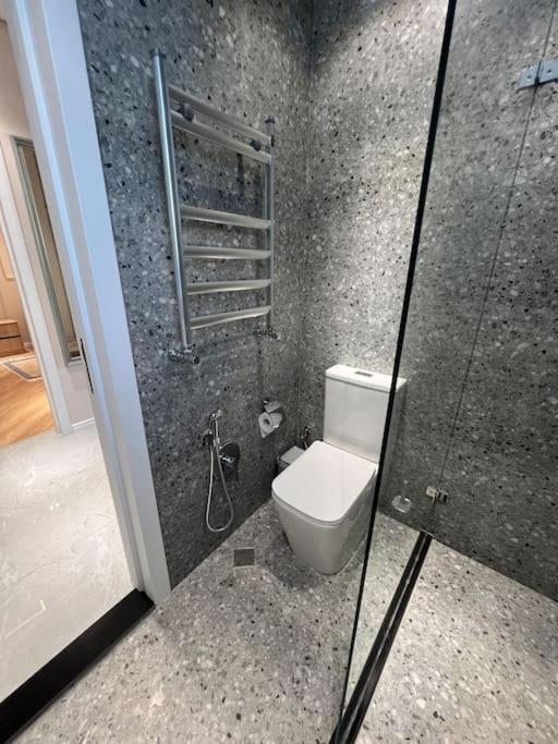 Luxurious Central Baku Apartment