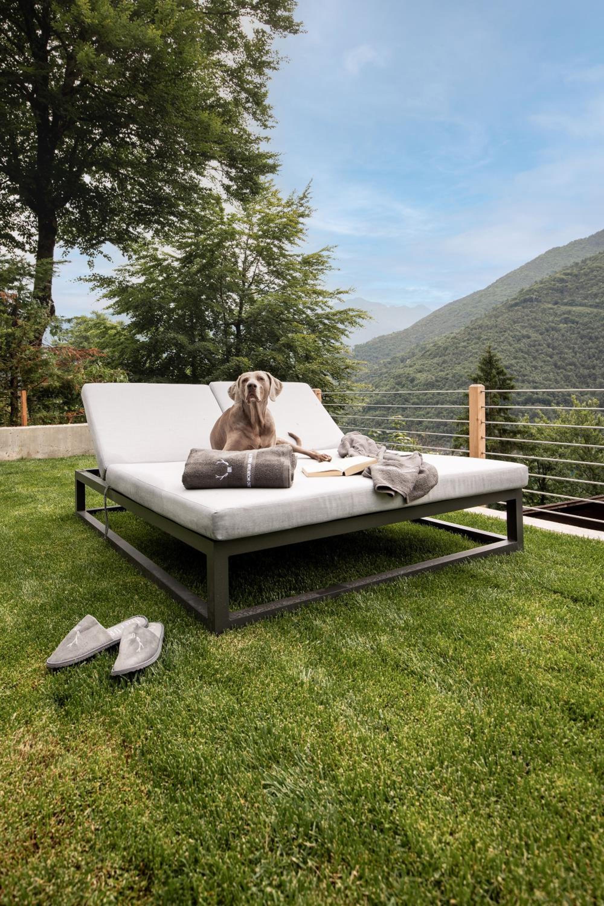 Ledarix Charm Chalet