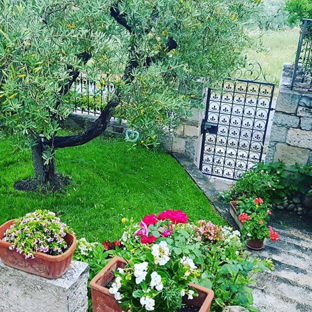 B&B Villa Maria Paola - Alloggi Temporanei Isernia