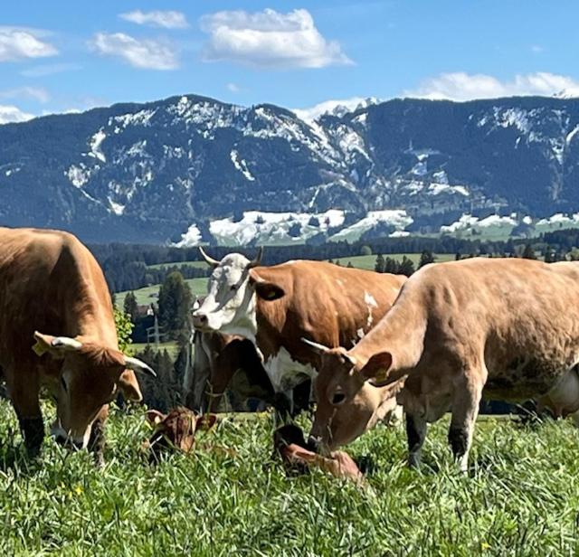 Zum Brentenjoch
