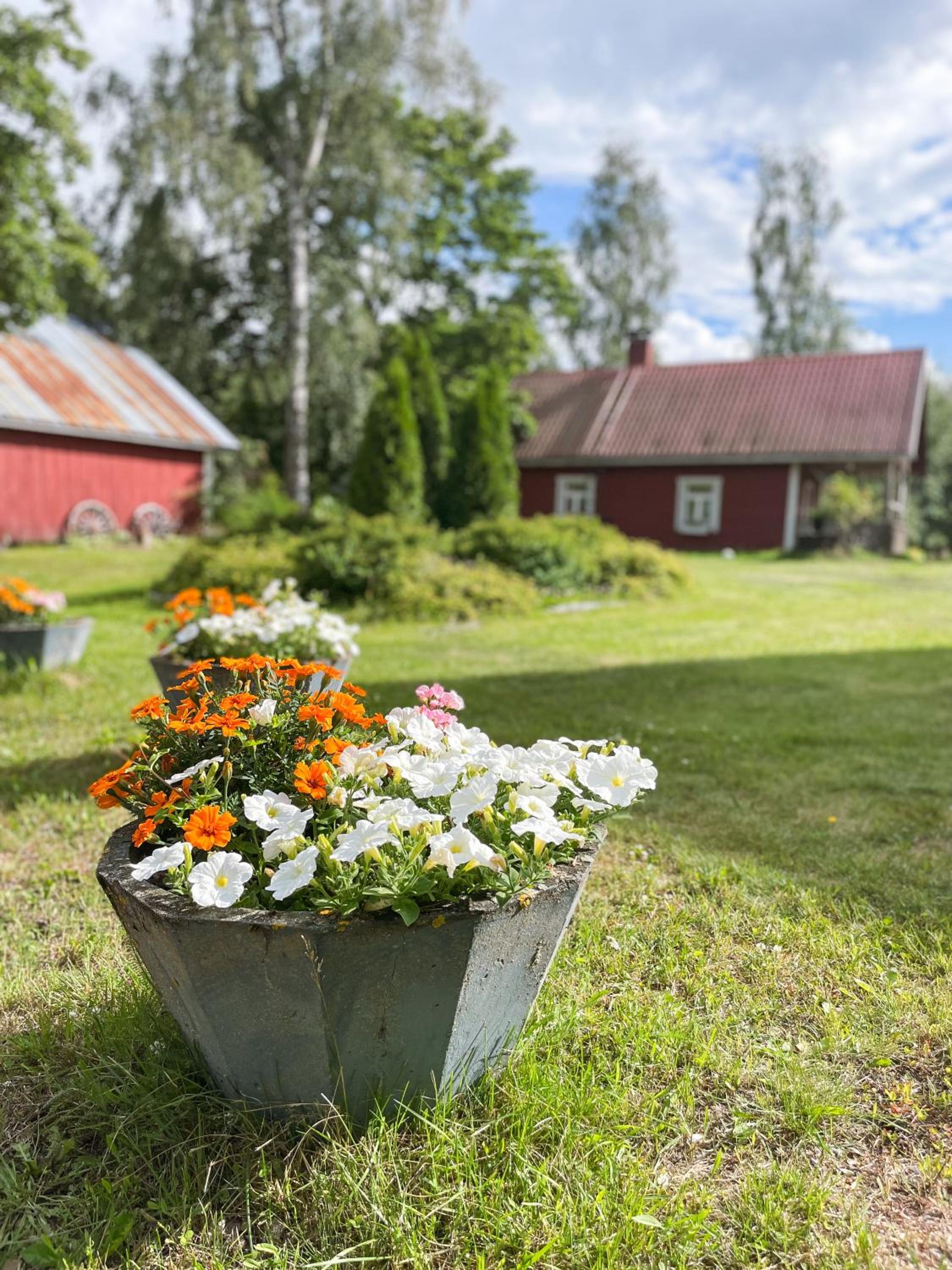 Pihlajaharju Countryside Escape
