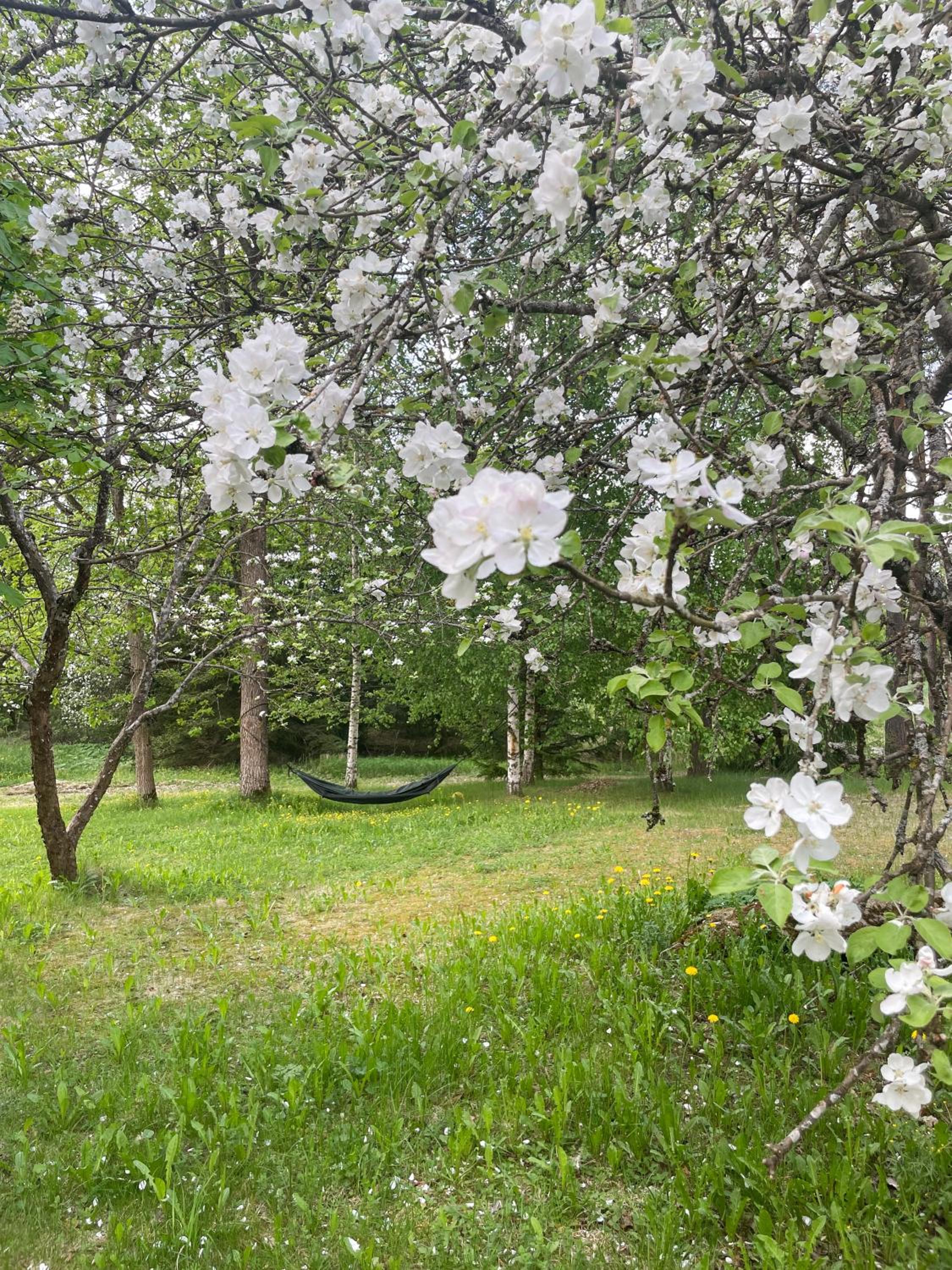 Pihlajaharju Countryside Escape