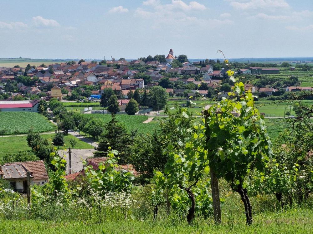 Apartmány pod pergolou