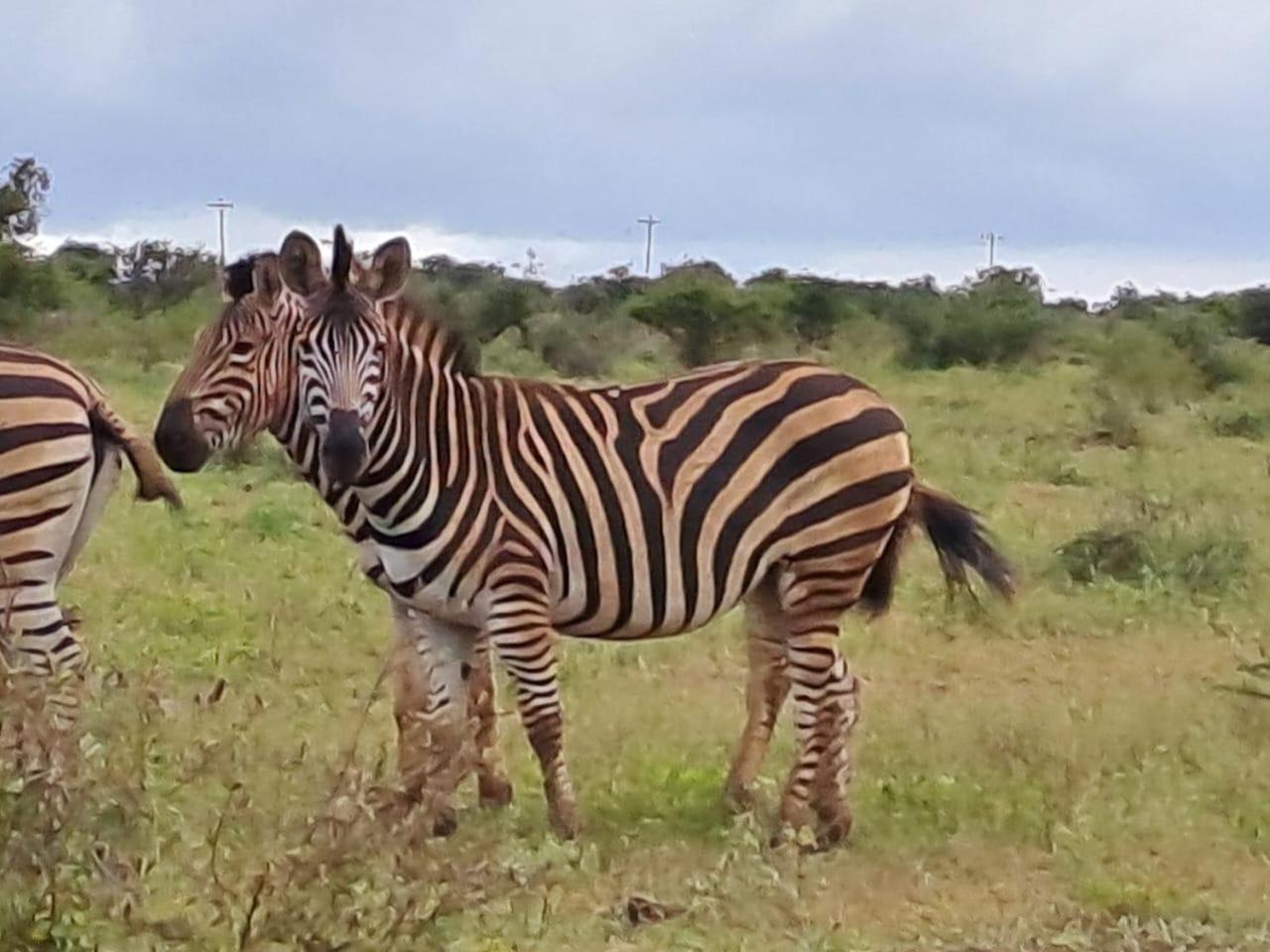 Khululeka Safaris Lodge