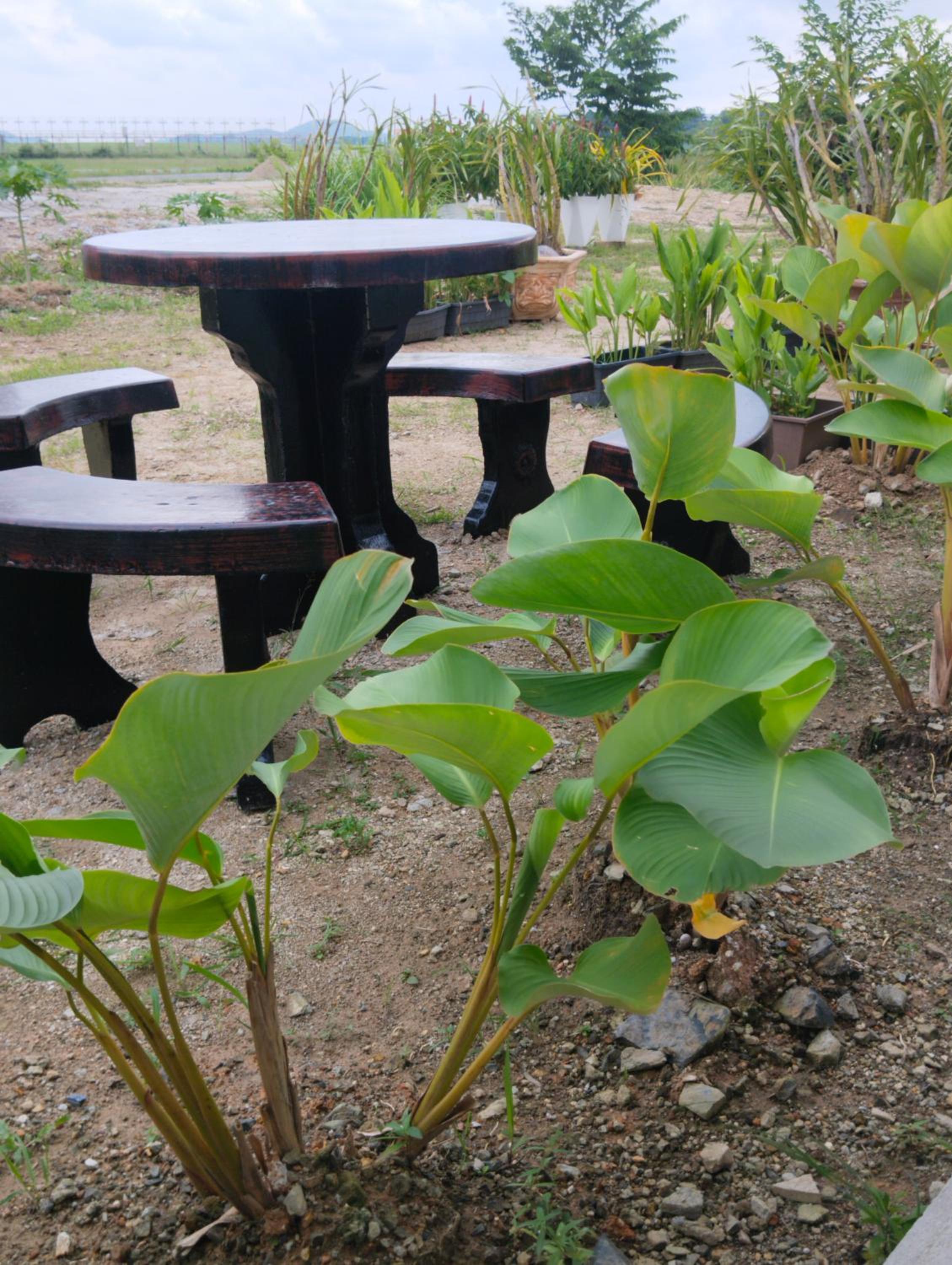 Villa Adeeva Homestay Langkawi