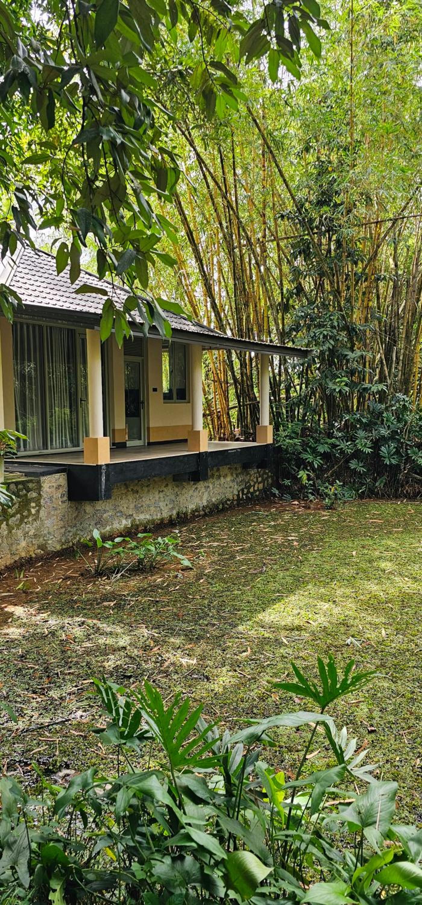Debaraliyadda Estate