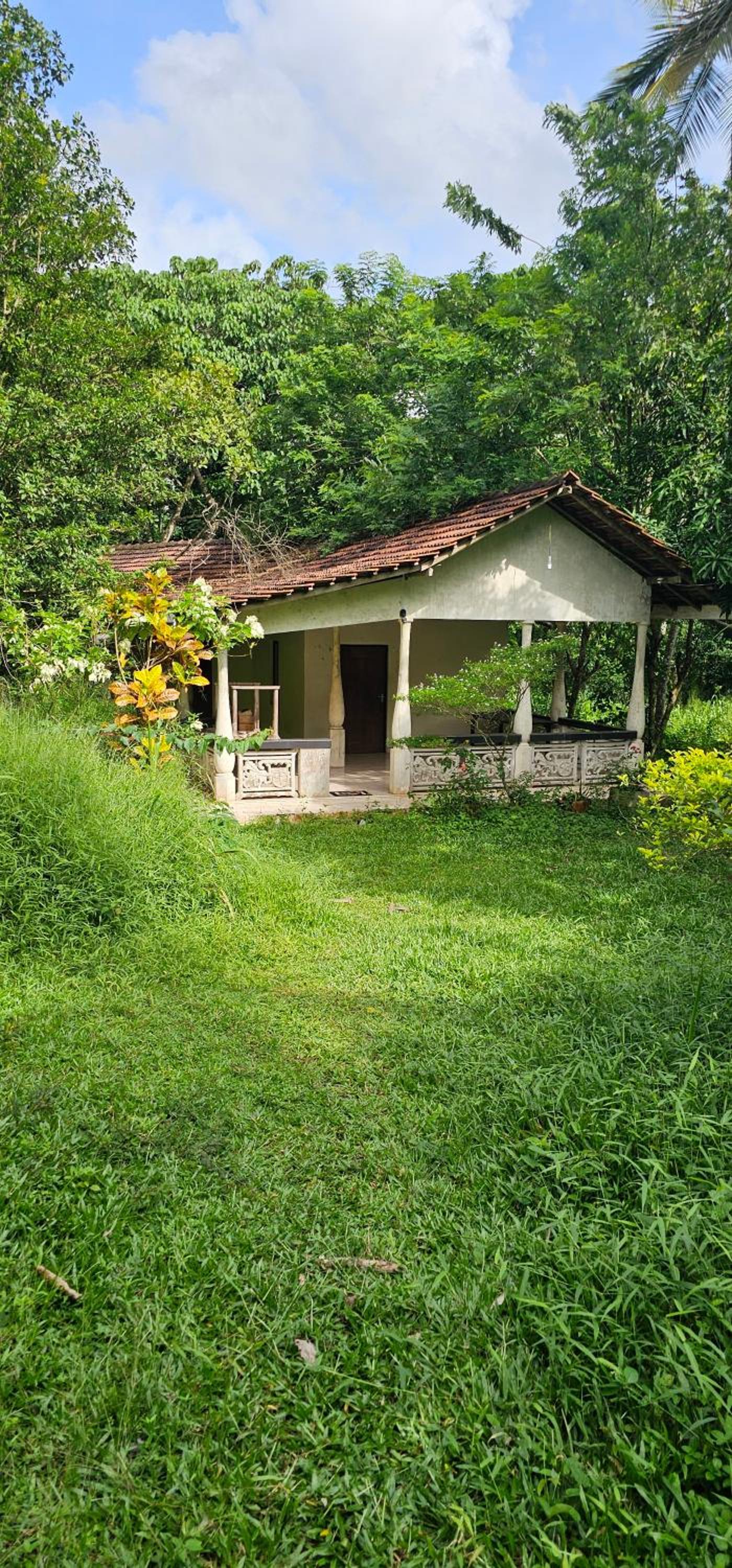 Debaraliyadda Estate