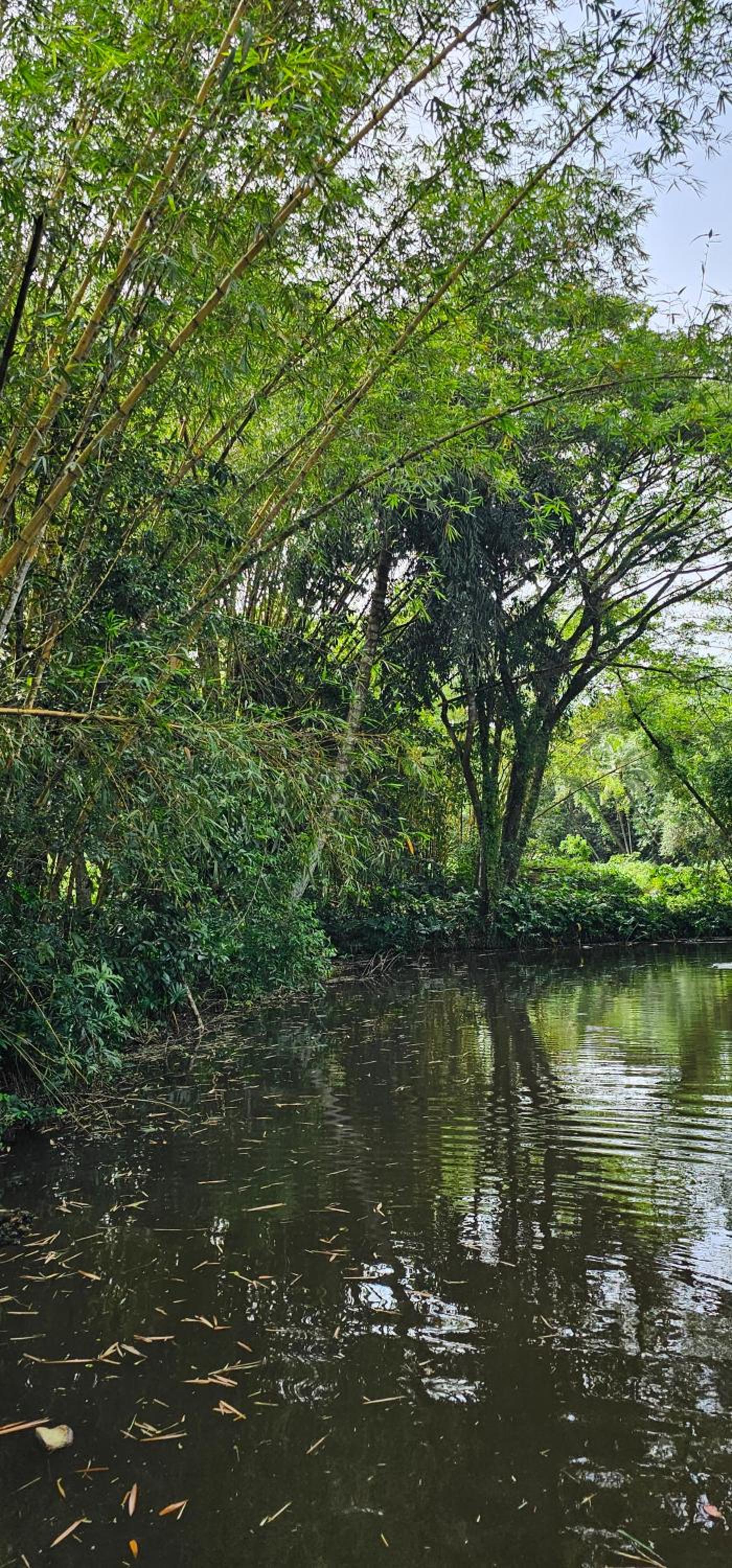 Debaraliyadda Estate