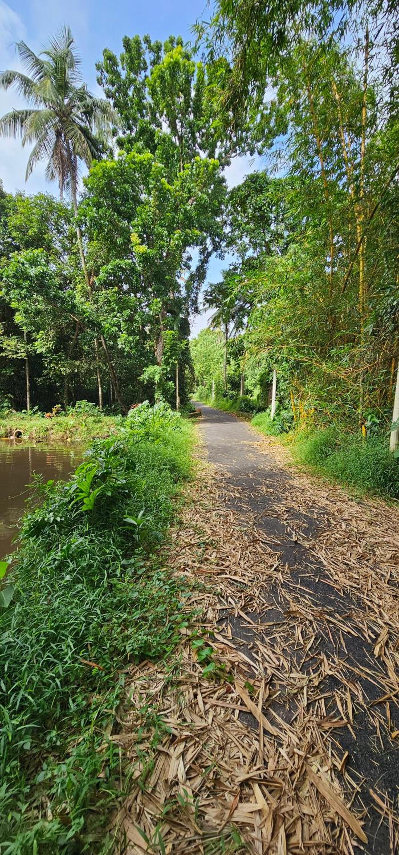 Debaraliyadda Estate
