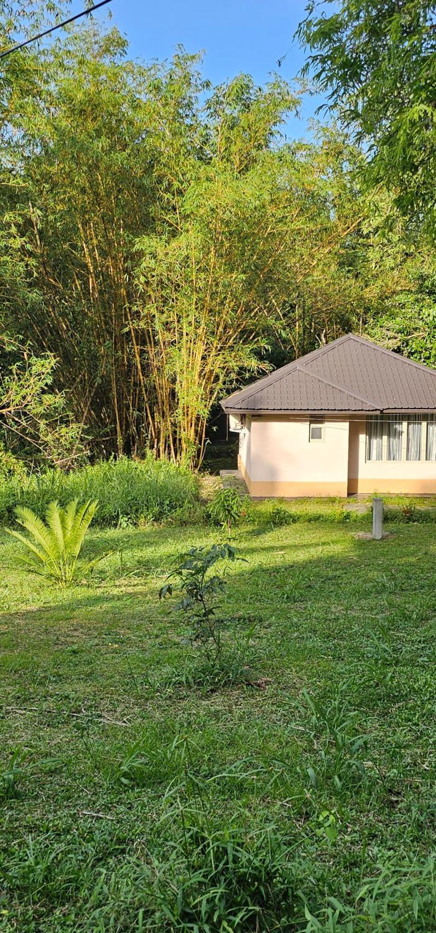 Debaraliyadda Estate