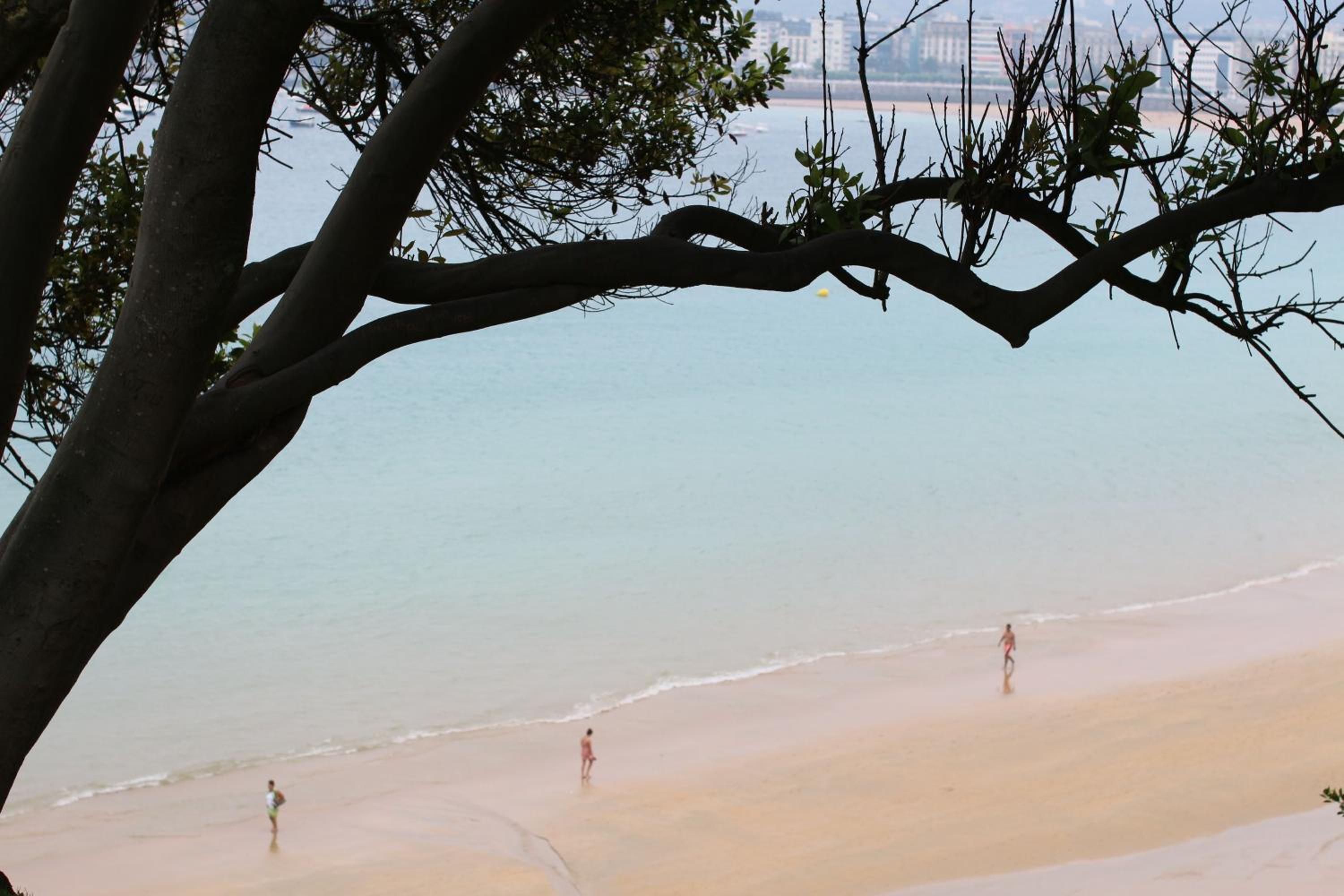 Concha Beach Apartment - SSHousing photo 5