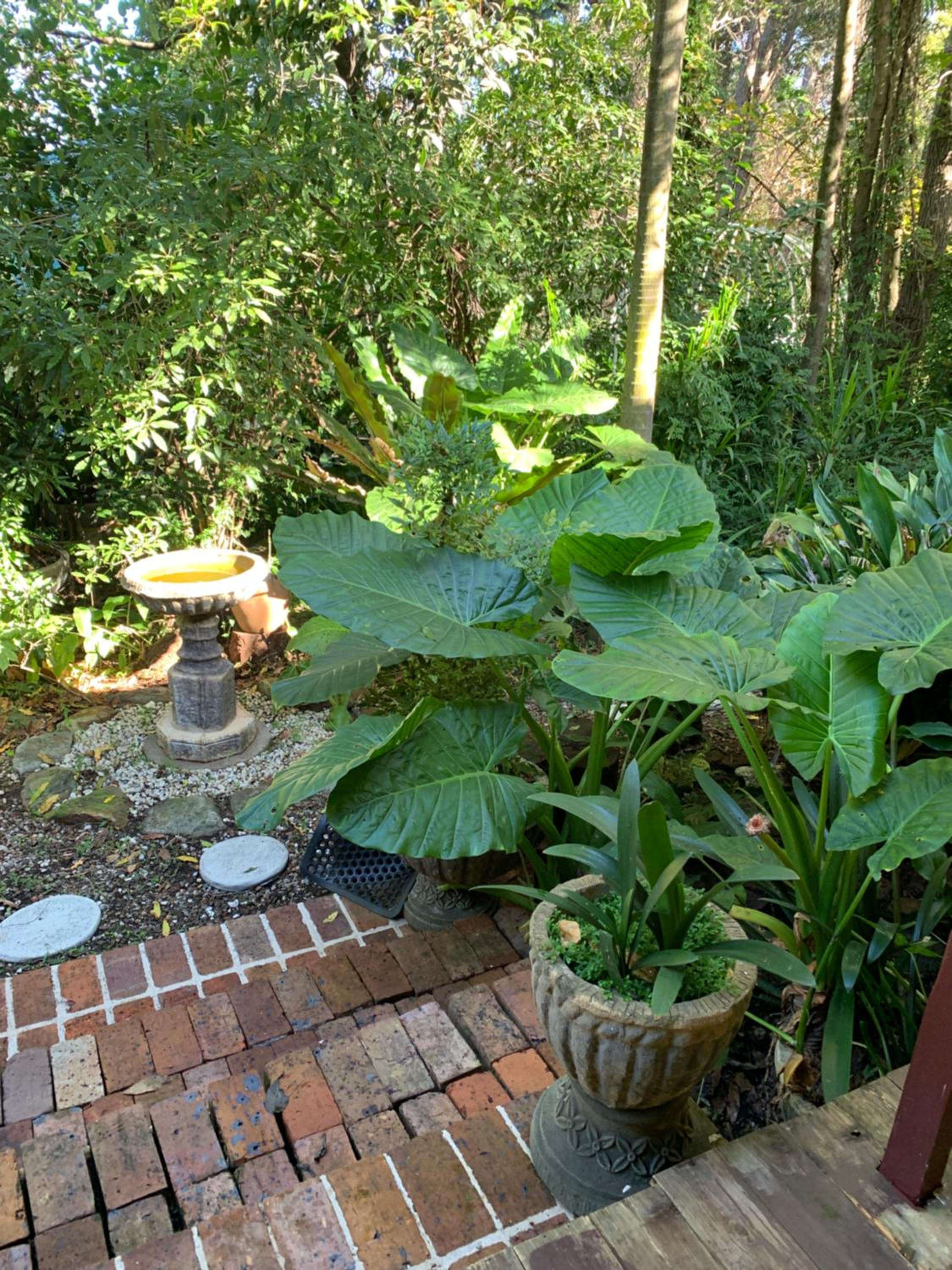 Garden studio