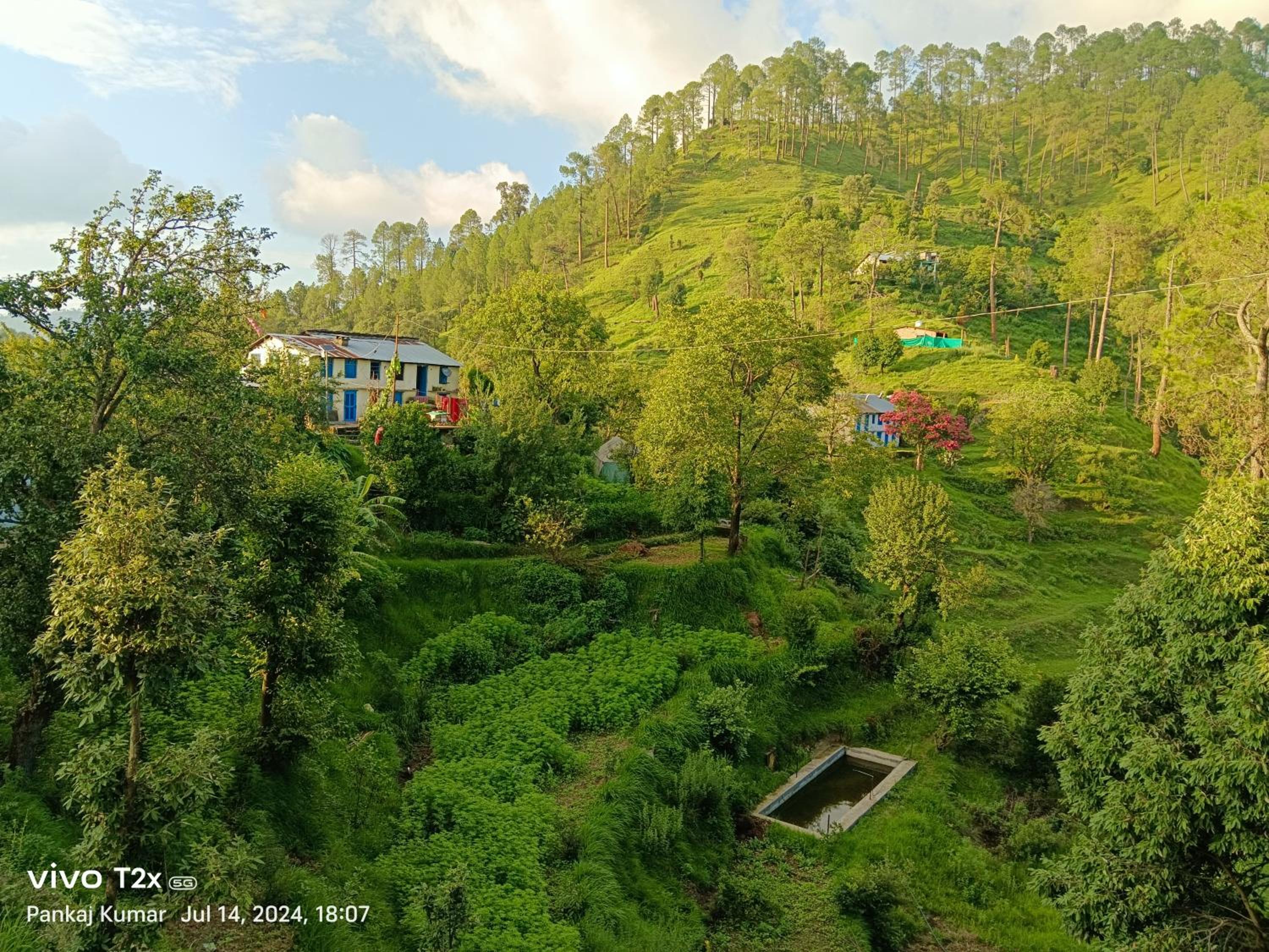Joshi Cottage Binsar