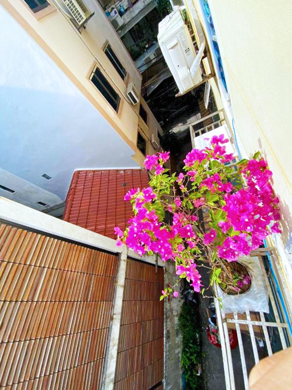 Mini Homestay