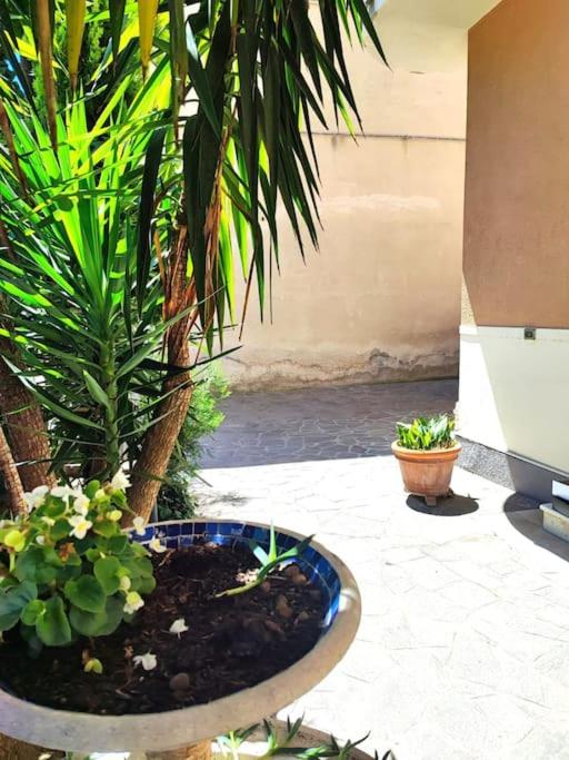 Appartamento con corte privata